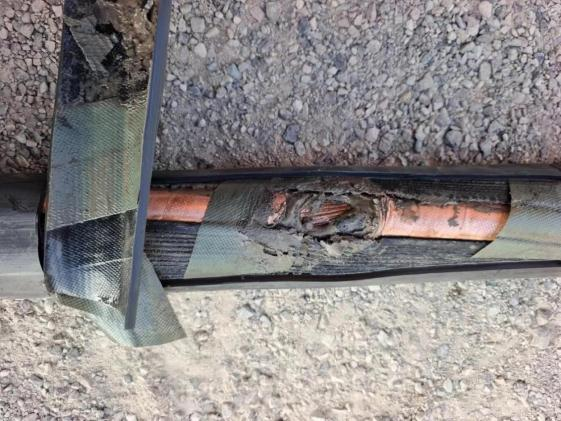 �����c(di��n)������Ƭ